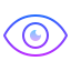 Vision